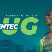 Dancehall Formular - Bentec UG